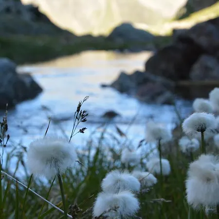 Alexandra's Appartement *