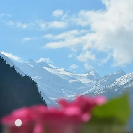 公寓 Alexandra's *