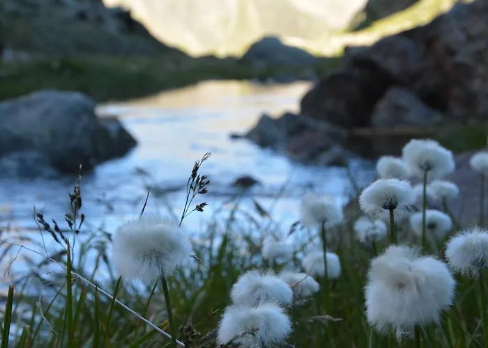 Alexandra's דירה *